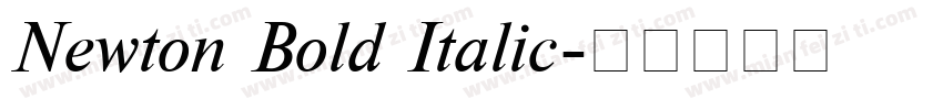 Newton Bold Italic字体转换